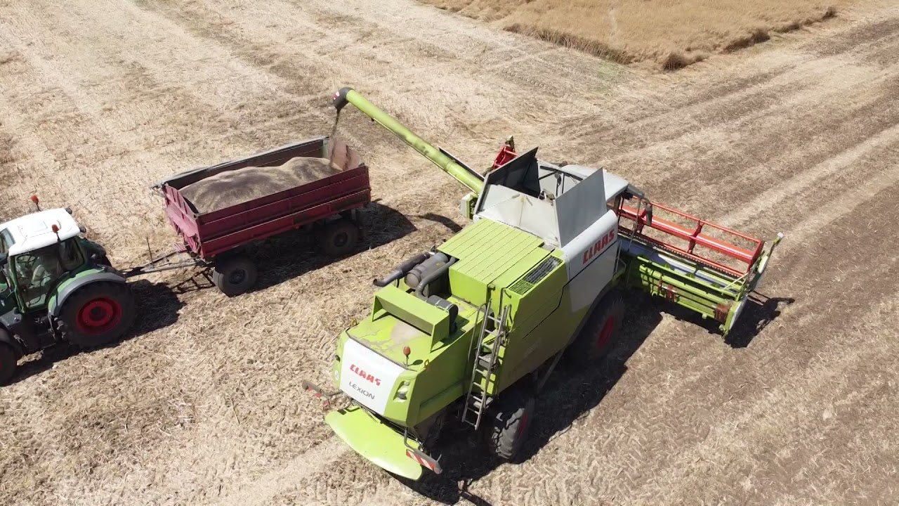 Repce aratás 2021 Claas Lexion 440 és 660 (Fendt 933 tárcsázás)