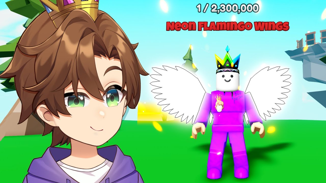I Used GODLY Wings To FLY HIGH On Roblox RNG