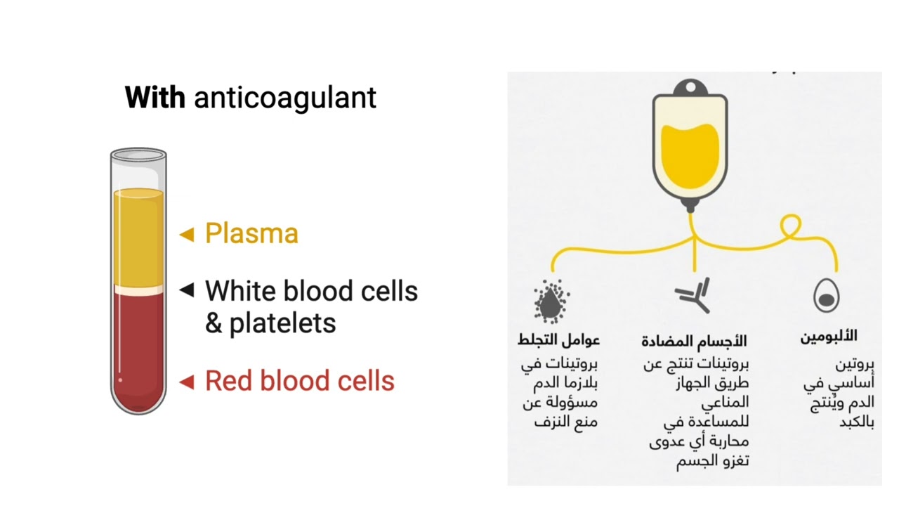الفرق بين السيرم والبلازما والدم الكلى serum & plasma & whole blood 