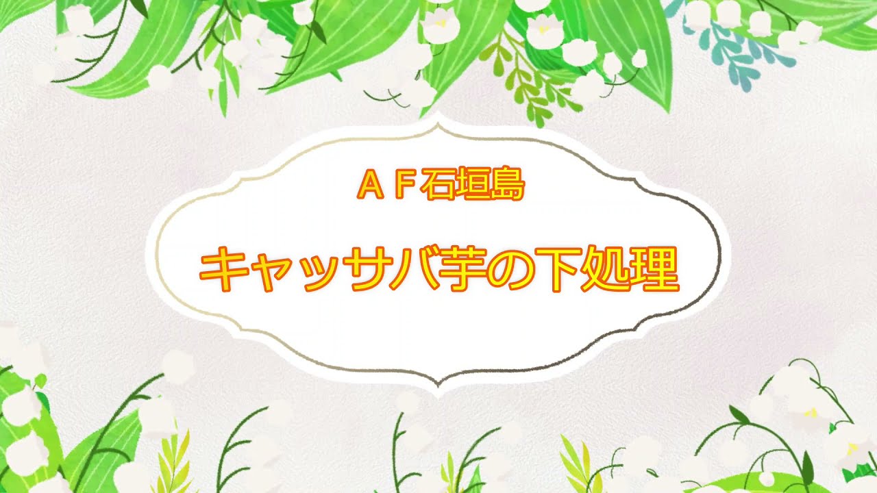 【最重要】キャッサバ芋の下処理（改訂版）