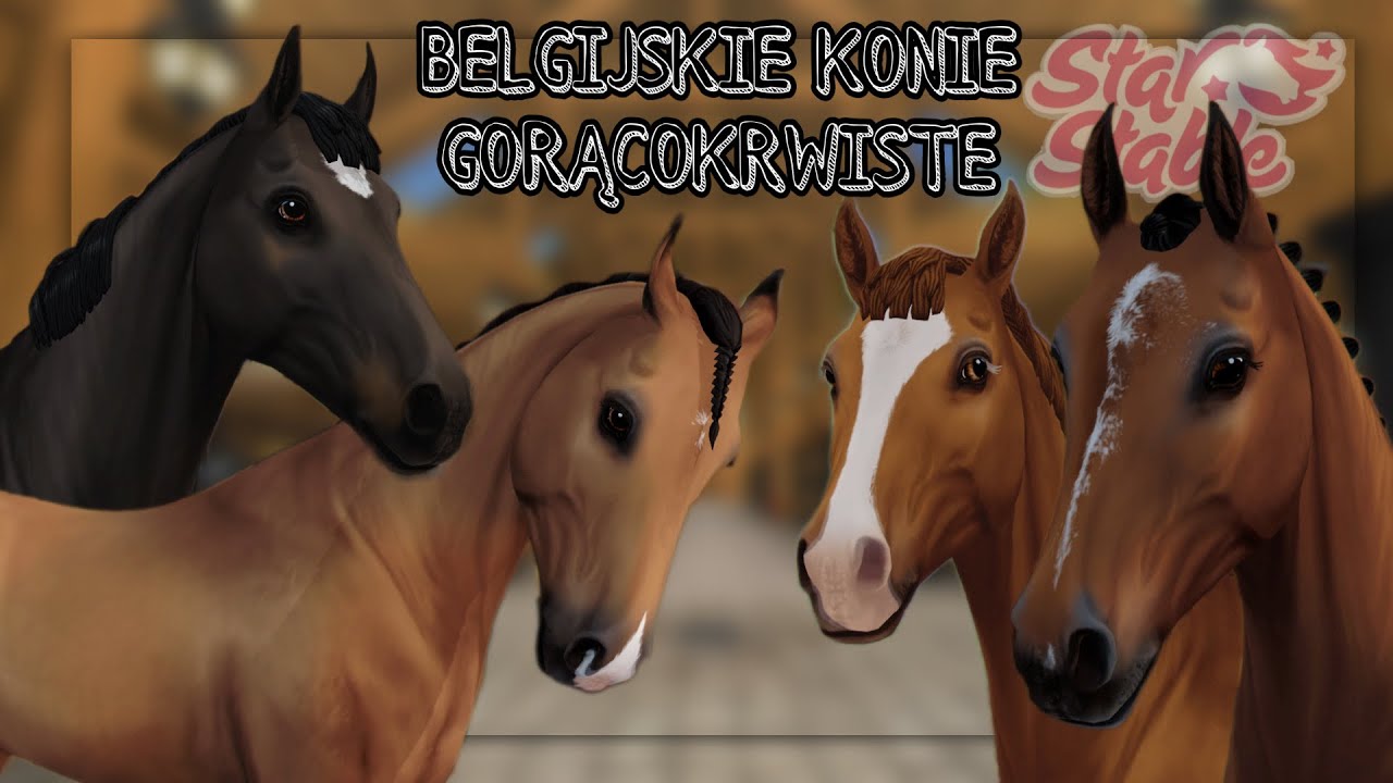 NOWE KONIE BELGIJSKIE! KUPUJEMY AŻ 4! || SSO AKTUALIZACJA