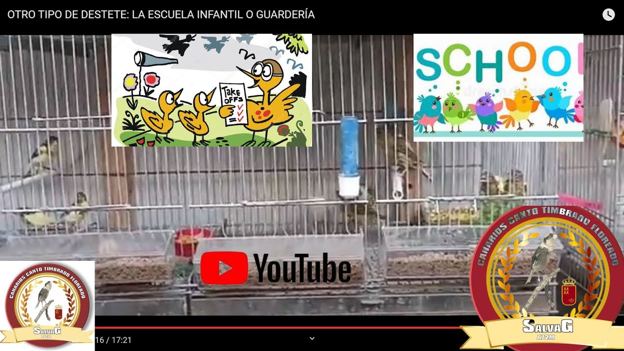OTRO TIPO DE DESTETE: LA ESCUELA INFANTIL O GUARDERÍA