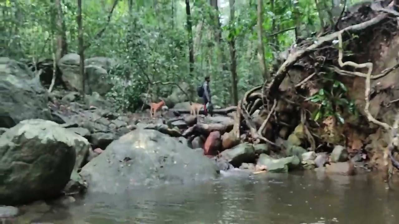 Dolukanda දොලුකන්ද
