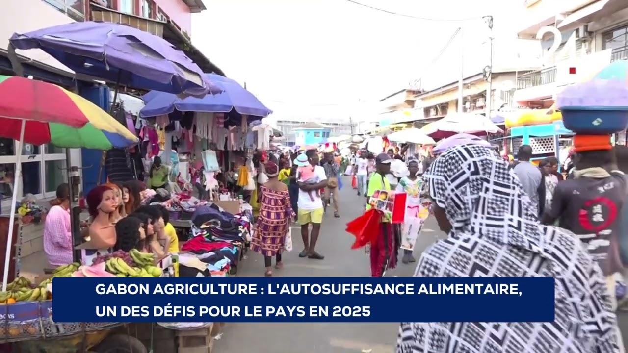 GABON AGRICULTURE  L'AUTOSUFFISANCE ALIMENTAIRE, UN DES DÉFIS POUR LE PAYS EN 2025