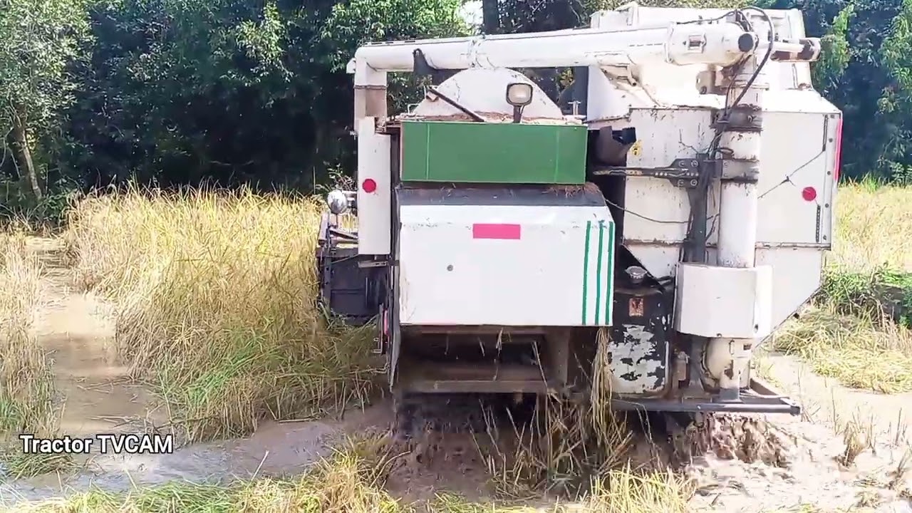 Kubota 105x Combine Harvester Rice | Harvesting Skills Work
