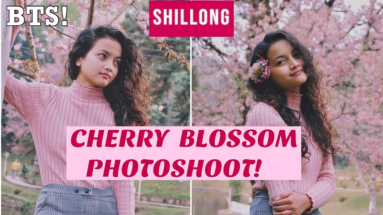 Shillong Cherry Blossom Photoshoot 🌸|Behind the scenes|Manha Pasi