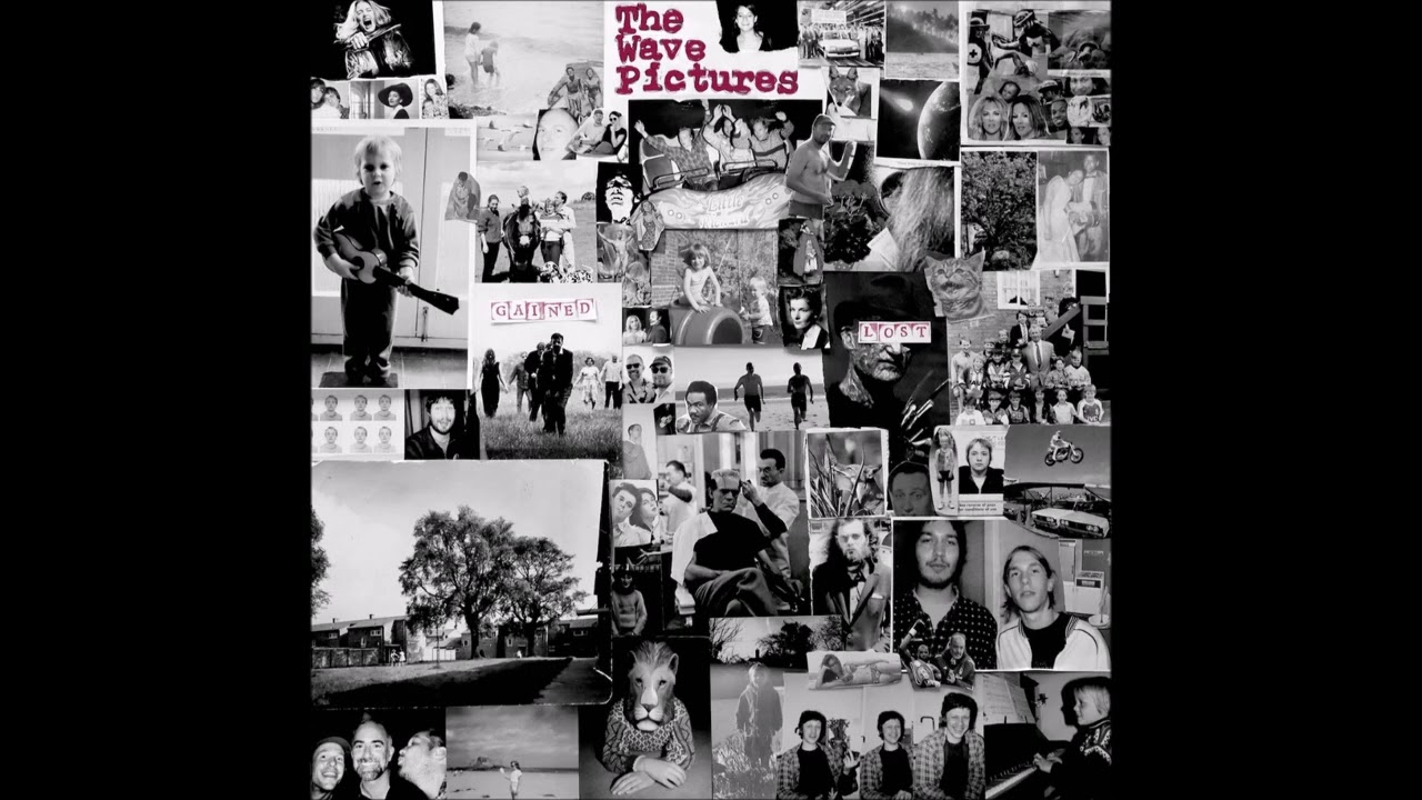 The Wave Pictures - You're My Patient Now
