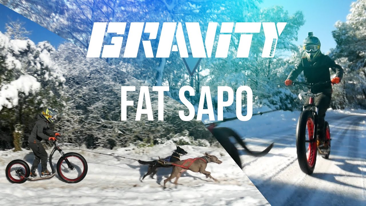 Mushing with GRAVITY FAT SAPO - Best mushing 2021