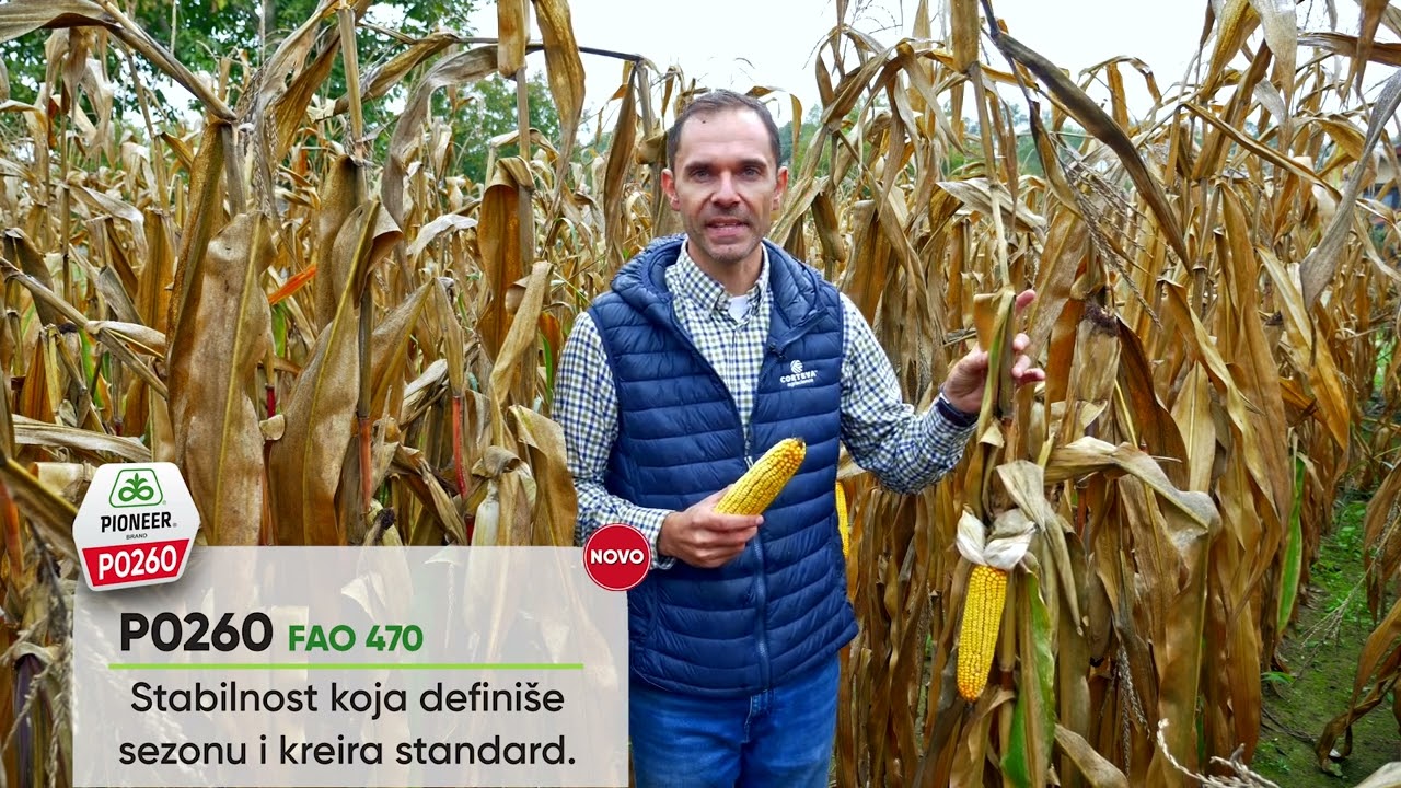 STABILNOST koja DEFINIŠE sezonu i kreira STANDARD - PIONEER P0260, FAO 470