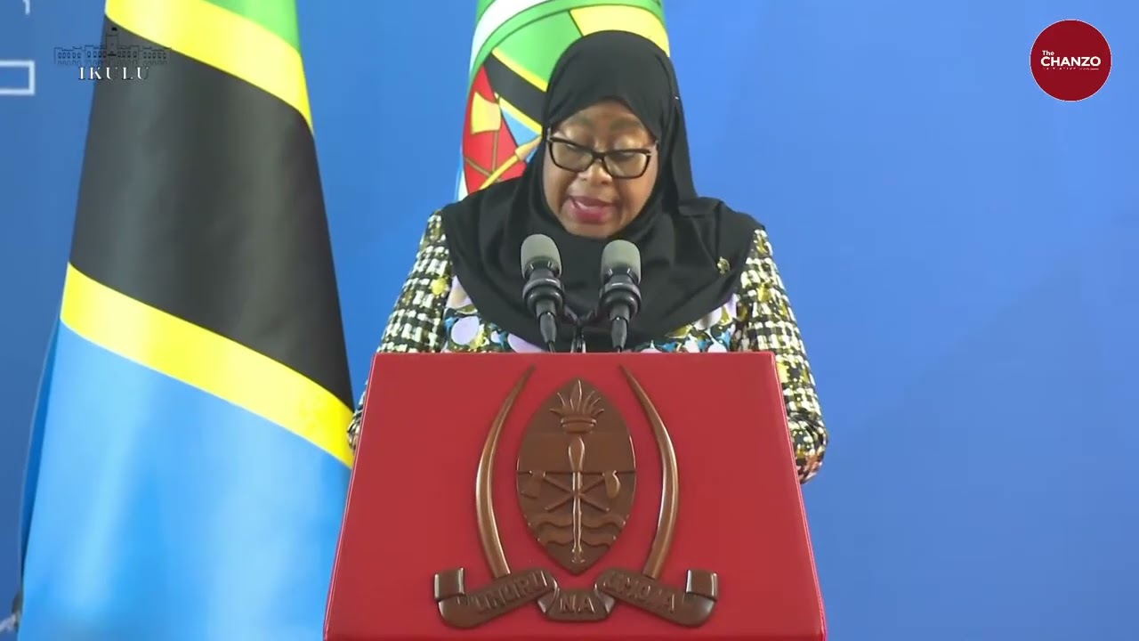 Rais Samia na Rais Chapo wa Msumbiji Waeleza Mambo Waliyozungumza Kwenye Kikao Chao