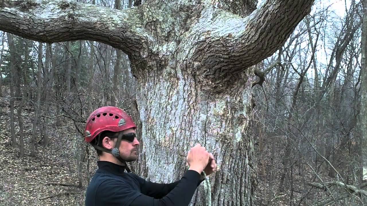 PulleySaver - Anclaje salvarramas con polea, recuperable desde el suelo