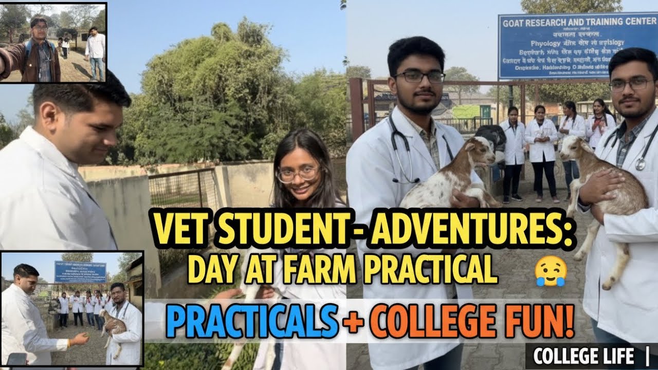 Goat farm adventure | vphe practical class 😊🤓