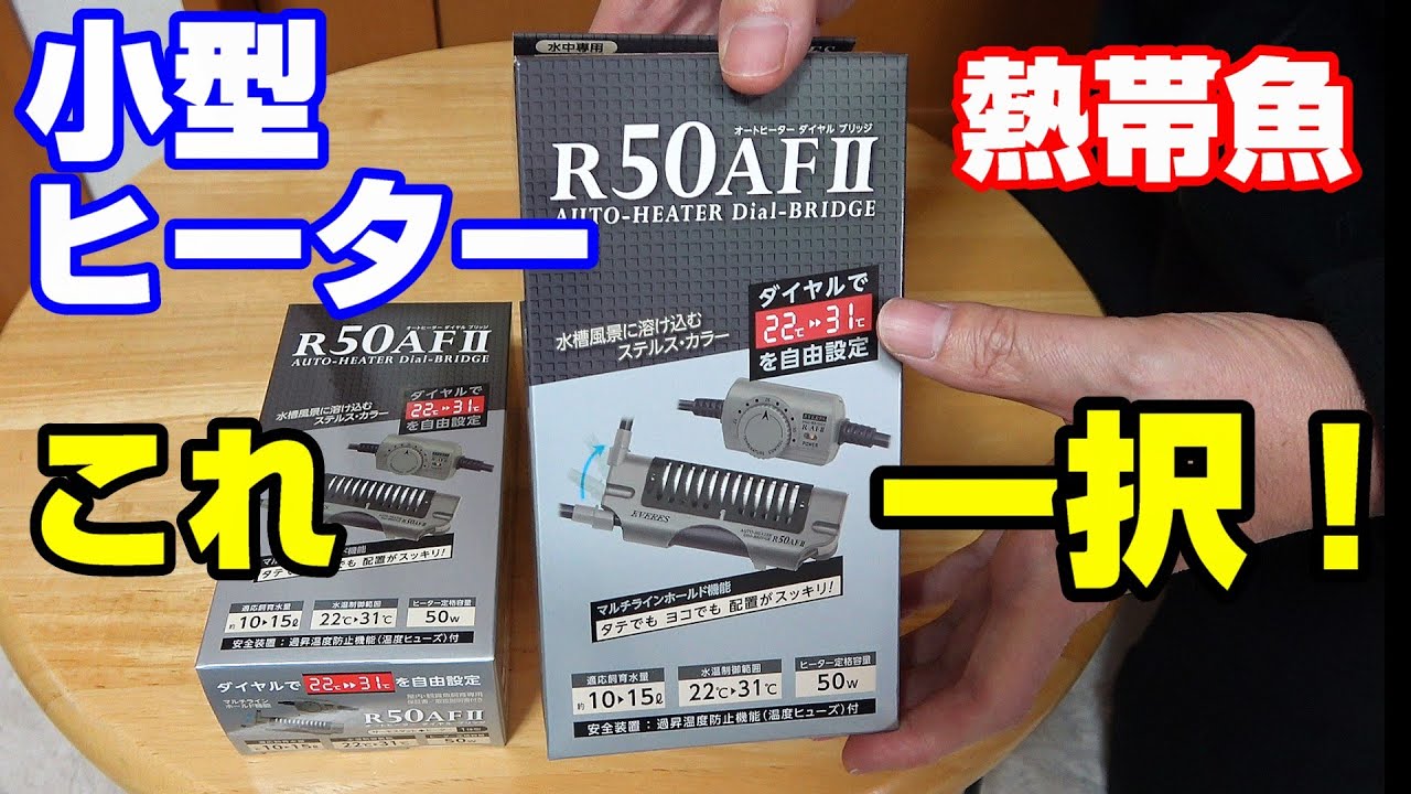 【熱帯魚水槽】小型ヒーターは、これがいいぞ！信頼性が高くかっこいい！　＃エヴァリスヒーター　＃betta