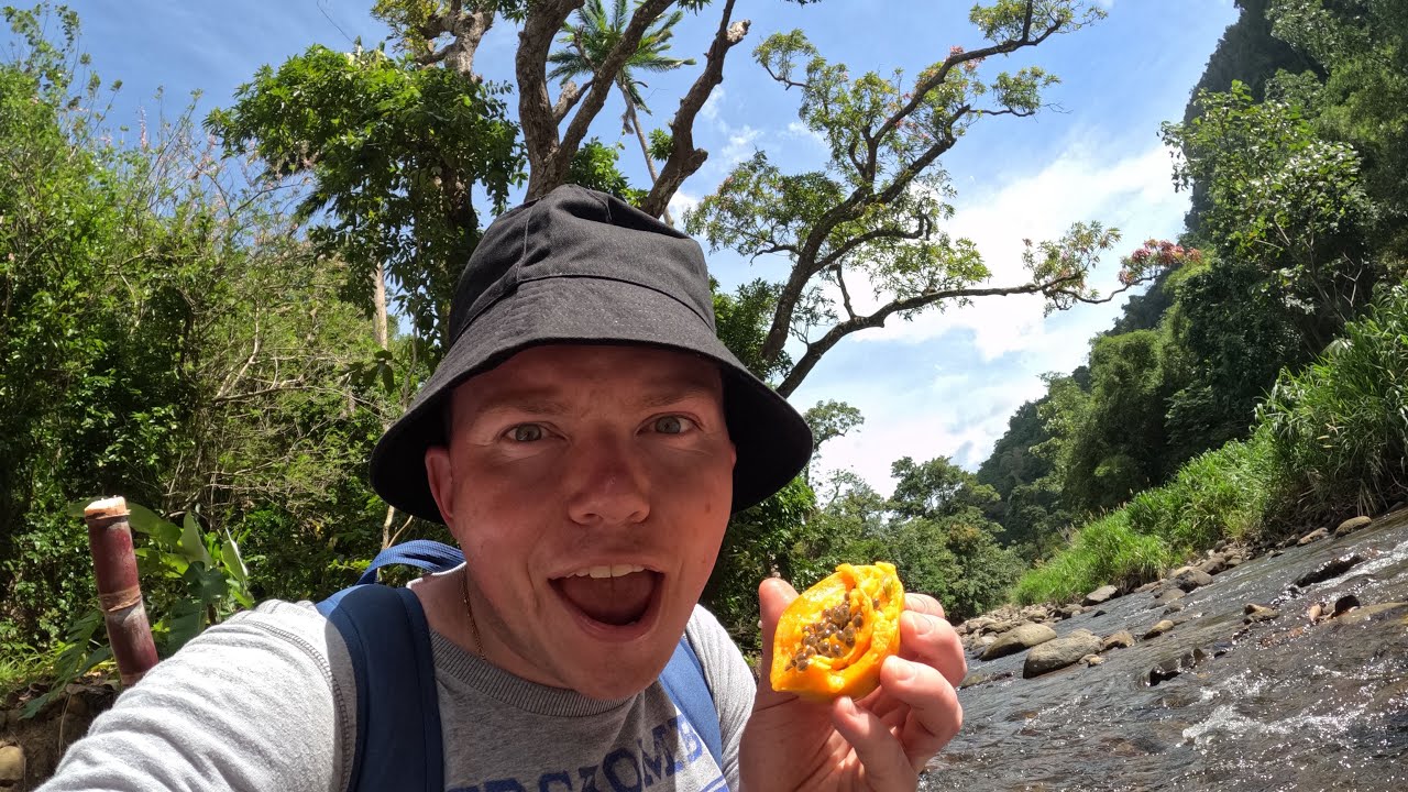 HIKING AND FORAGING EXOTIC FOOD IN THE CARIBBEAN ISLAND OF DOMINICA!!! 🇩🇲