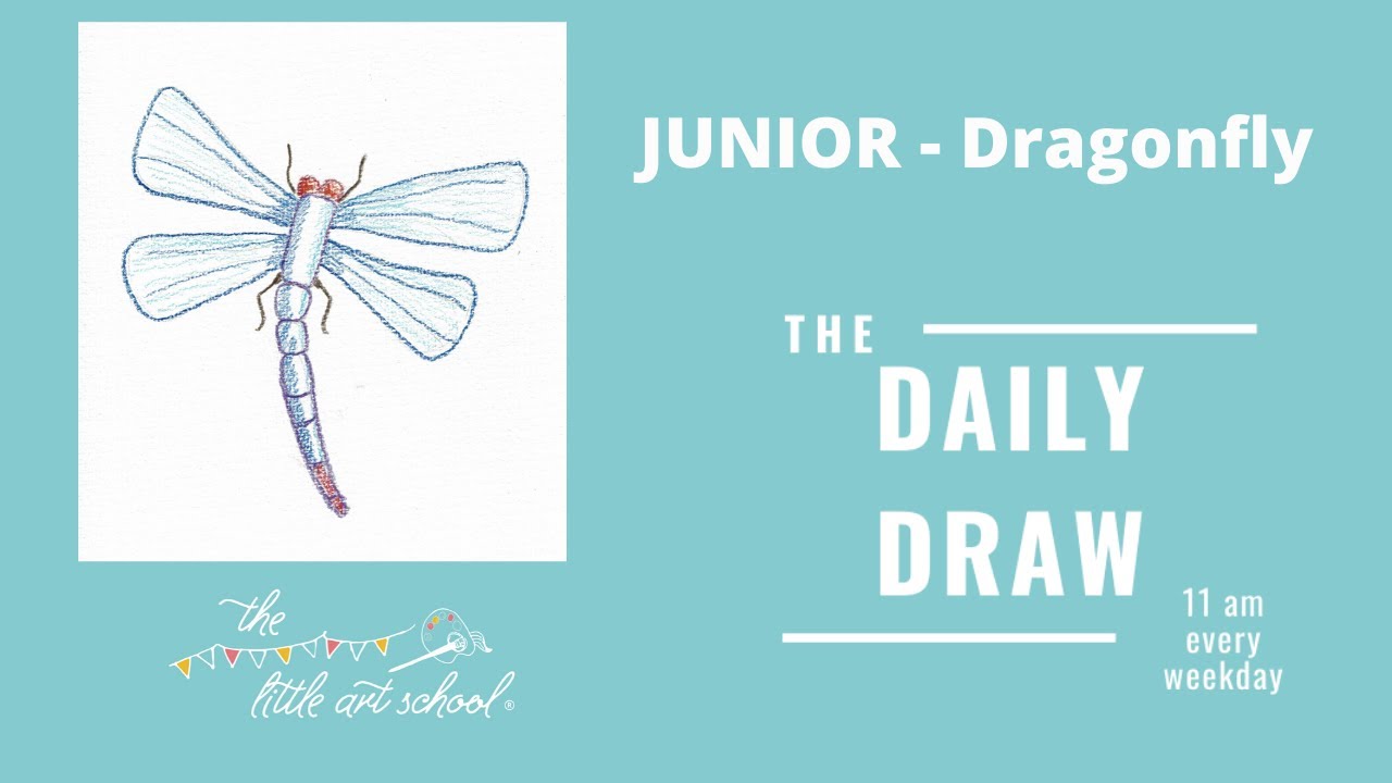 Mon 30th Mar - Junior Daily Draw with the Little Art School - Dragonfly