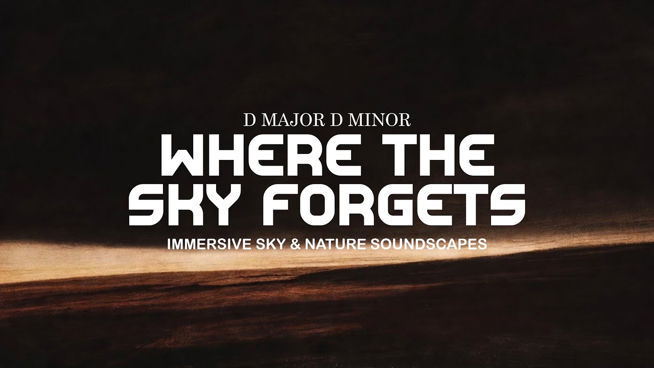 Where The Sky Forgets | Where Music Meets Art | Instrumental Music | D Major D Minor