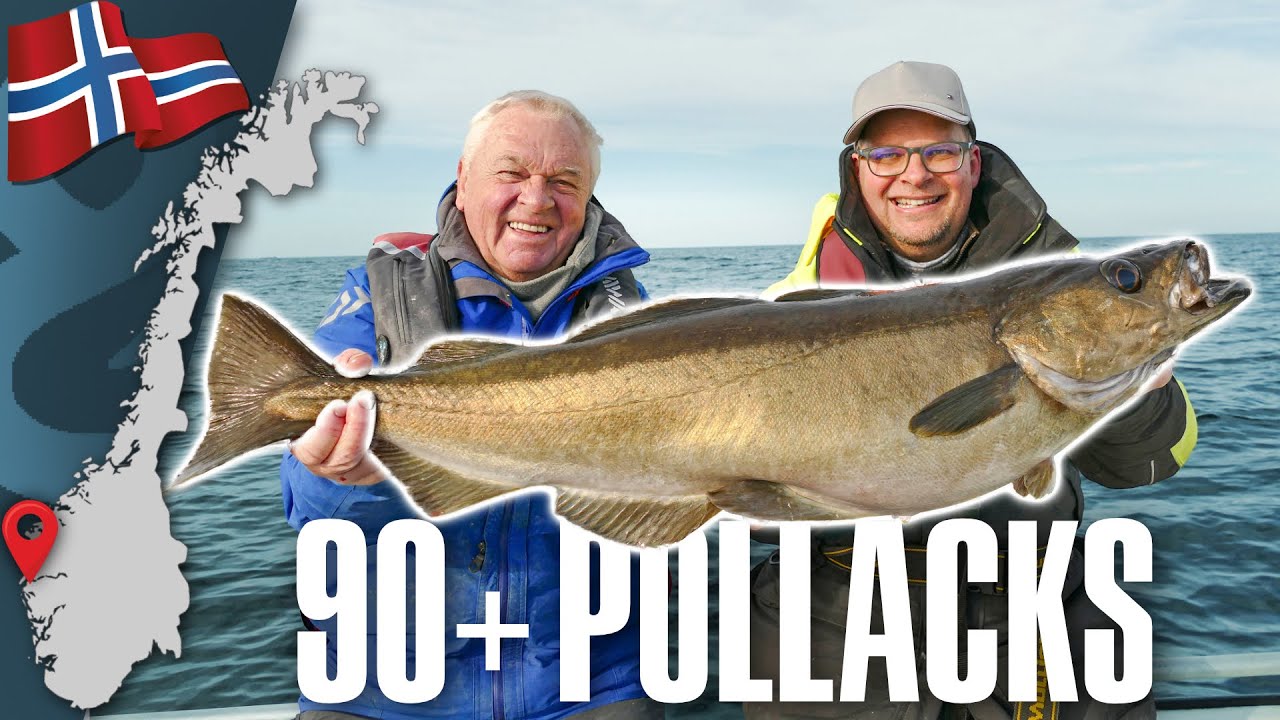 Mit Horst Hennings auf XL-Pollack & Dorsch in Norwegen / Angeln in Bremanger 🇳🇴