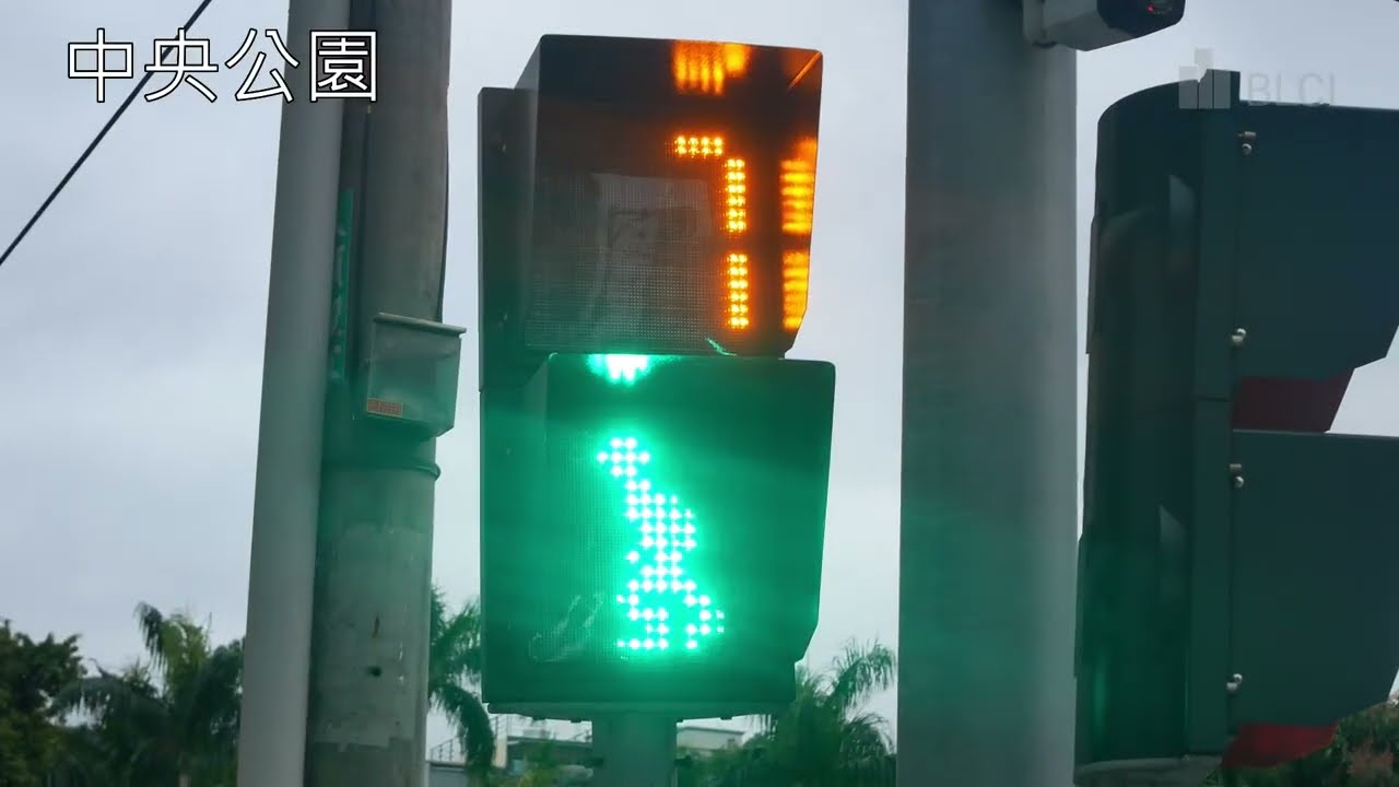 散步拍拍小綠人