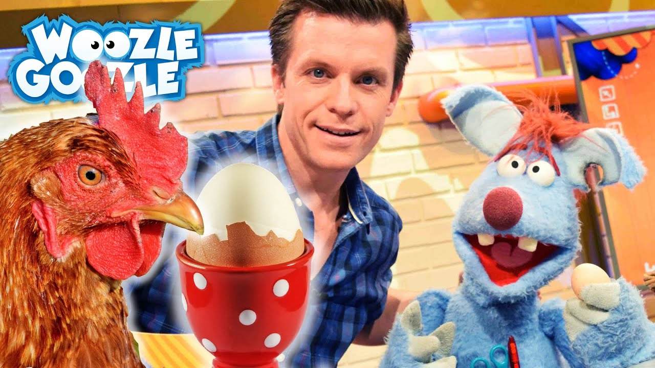Woher kommt ein Frühstücksei? l WOOZLE GOOZLE