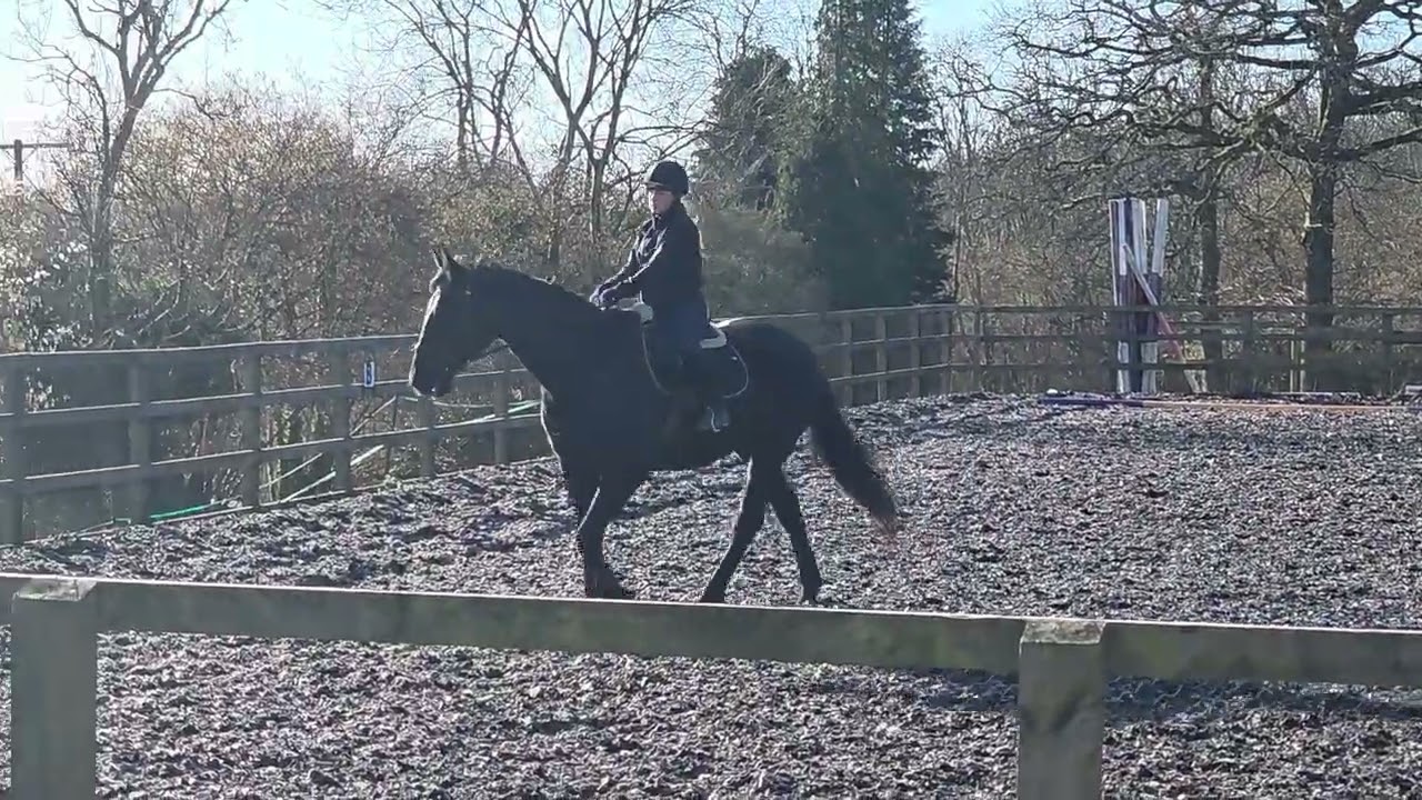 Class 1, intro to canter test 3 2023, Abigail Caswell