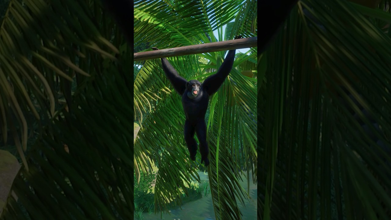 Siamang&rsquo;s Voice Will SHOCK You 😮🦧