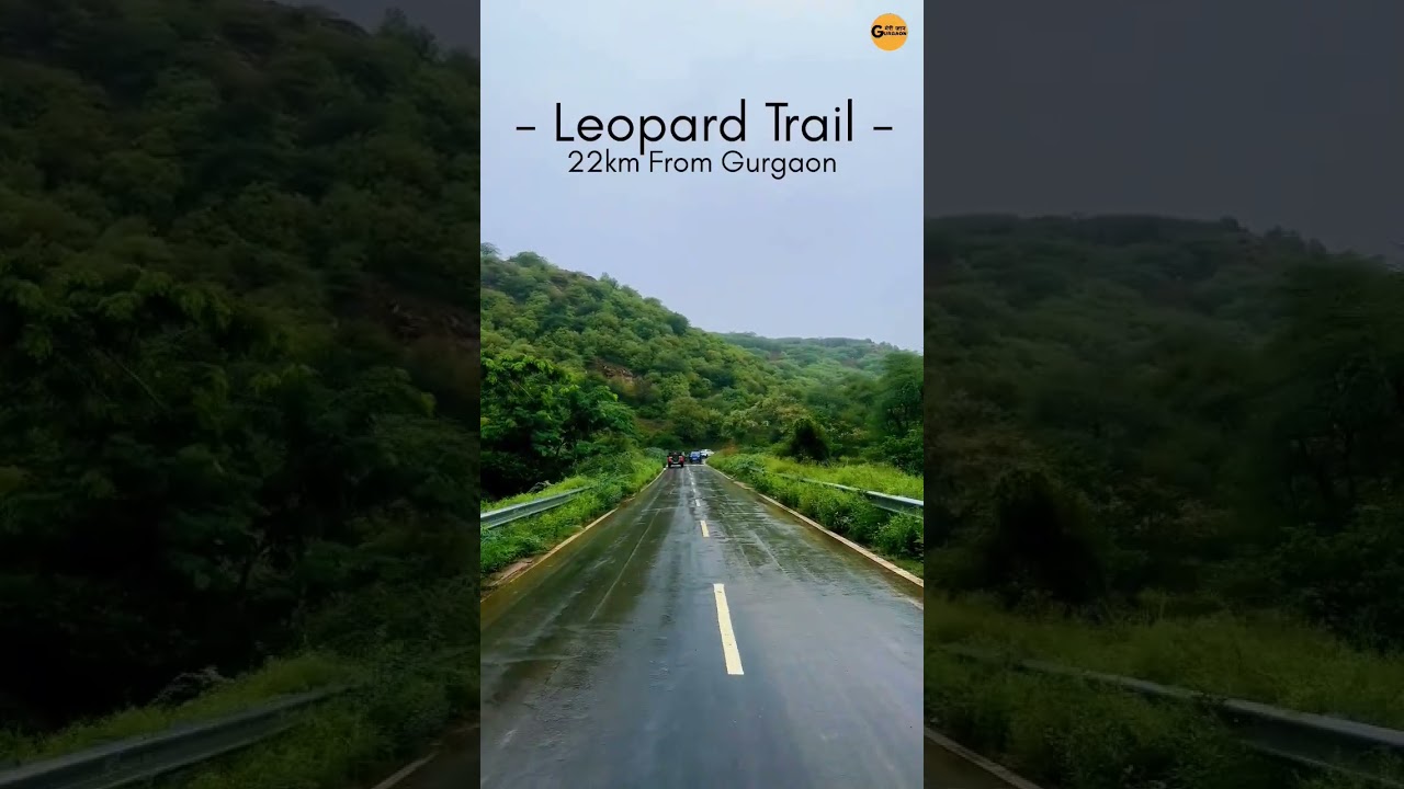 Leopard Trail Gurgaon 📍 #travel #nature #gurgaon