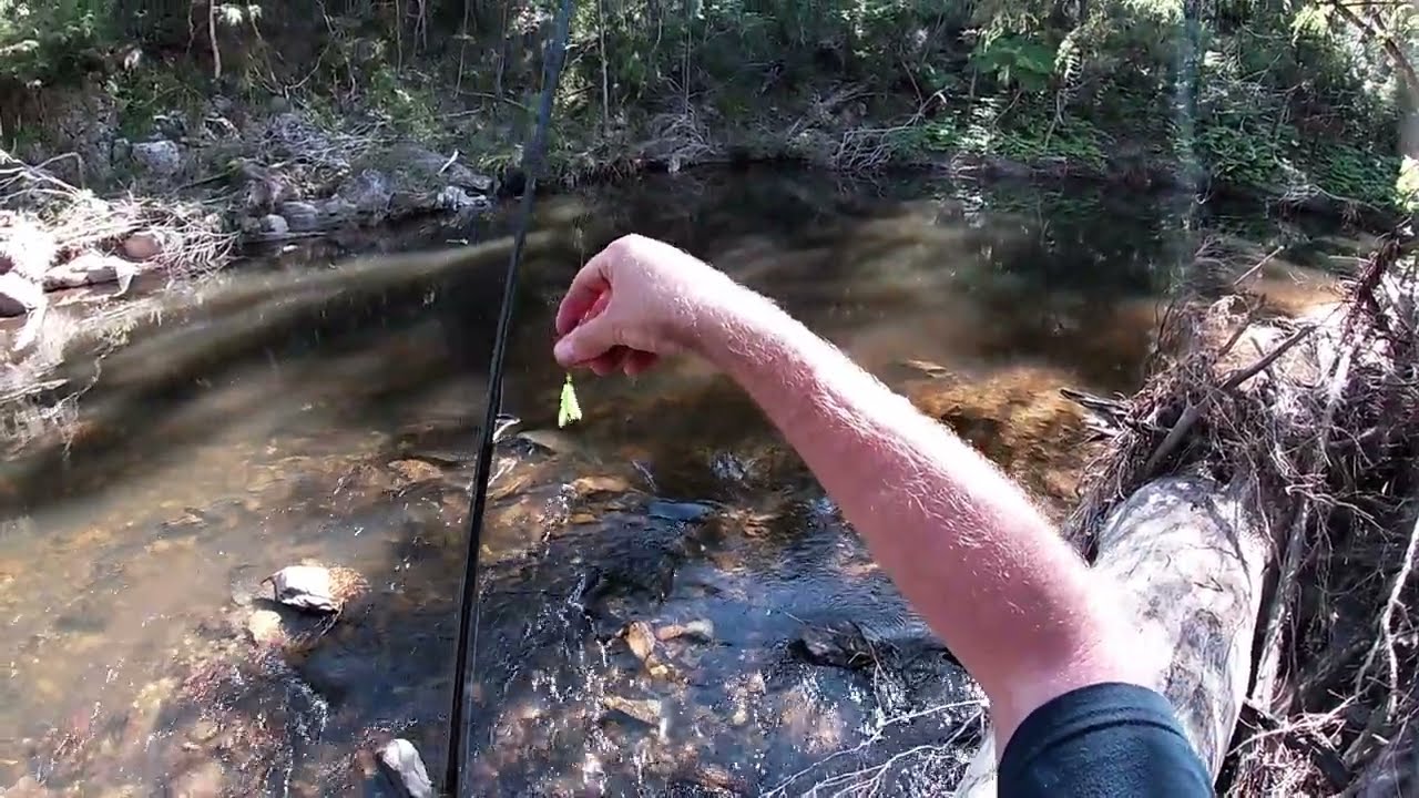 Tanjil River - Fishing & camping adventure!