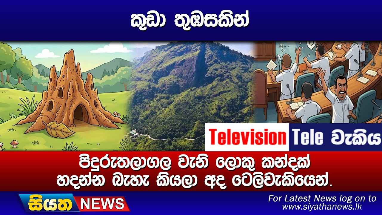 කුඩා තුඹසකින්, පිදුරුතලාගල වැනි ලොකු කන්දක් හදන්න බැහැ කියලා අද ටෙලිවැකියෙන්.