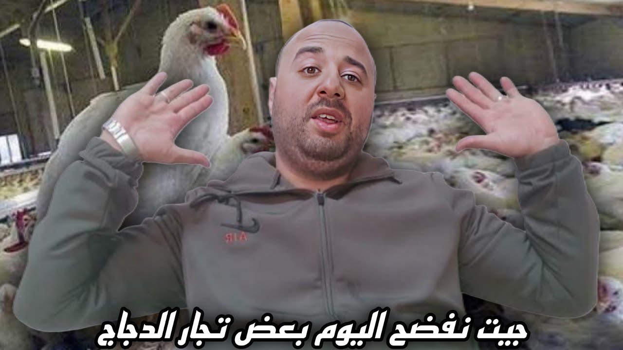 اليوم غادي نهضر على دجاج 17 درهم… علاش طلع الثمن وبعض التجار كيلعبو بالأسعار