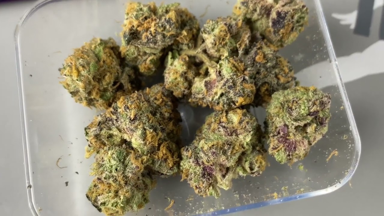 World premiere LUMPYS FLOWER ZOAP VS APPLE FRITTERS