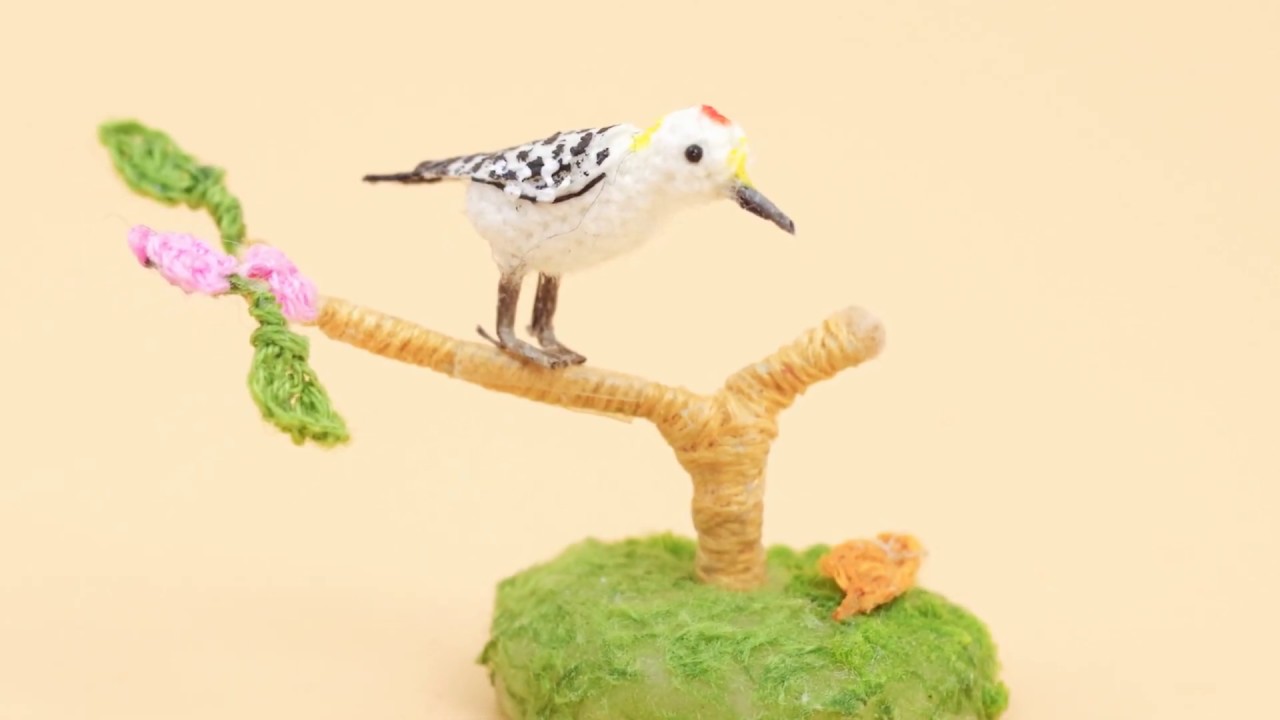 Golden Fronted Woodpecker Crochet Bird ✅Hagimi Crochet