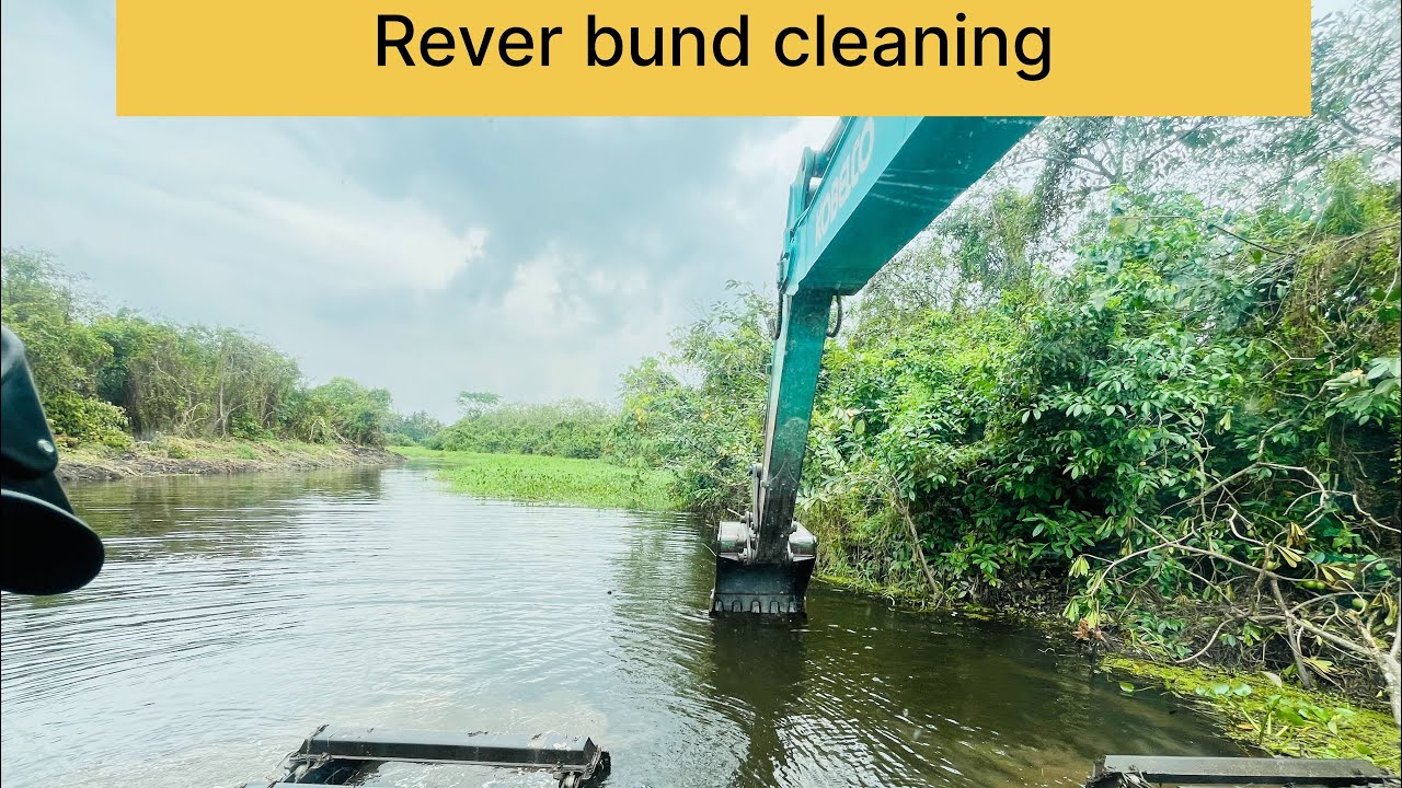 Watch how an Amphibious Excavator cleans a river filled with overgrown reeds and floating plants.💪💪