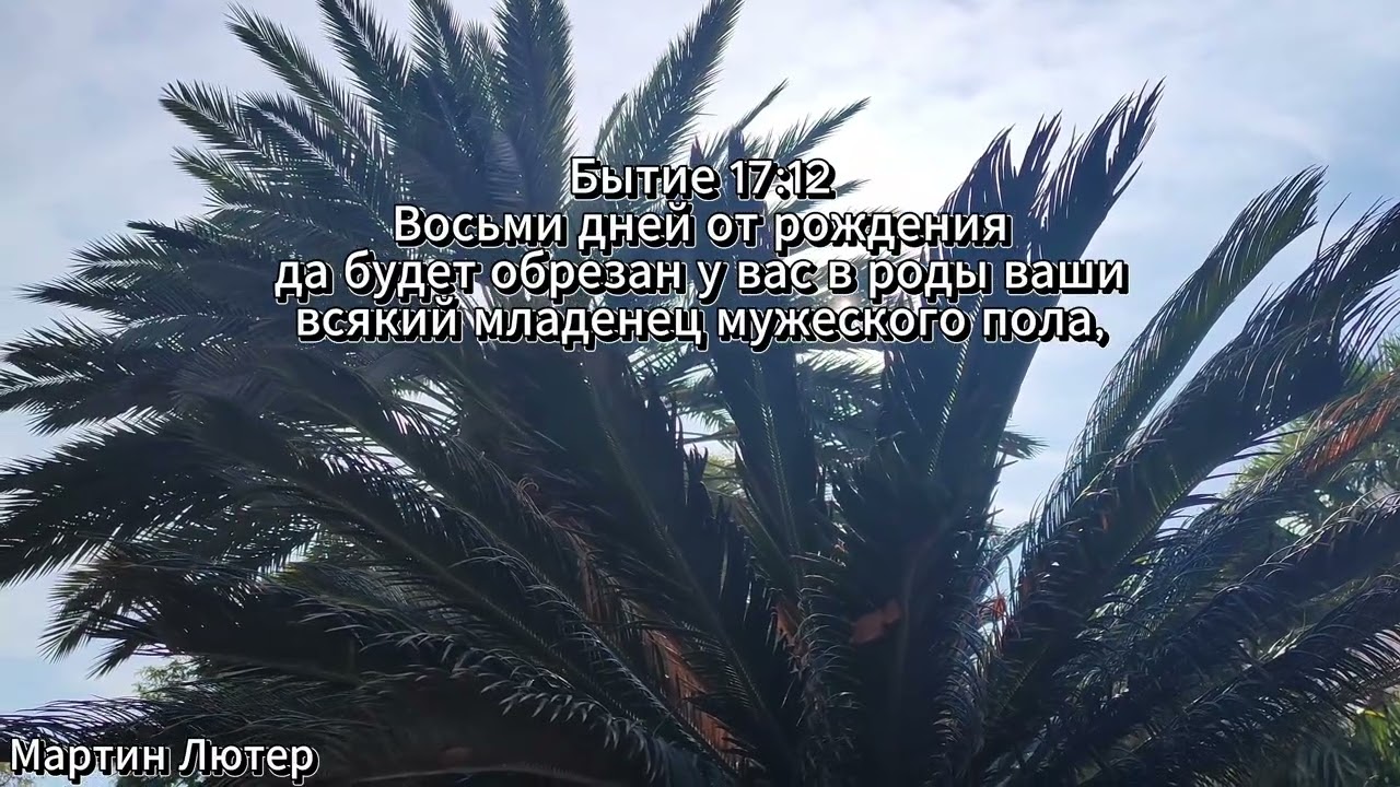 43. Библейская история. Завет Бога с Авраамом. Заповедь обрезания.