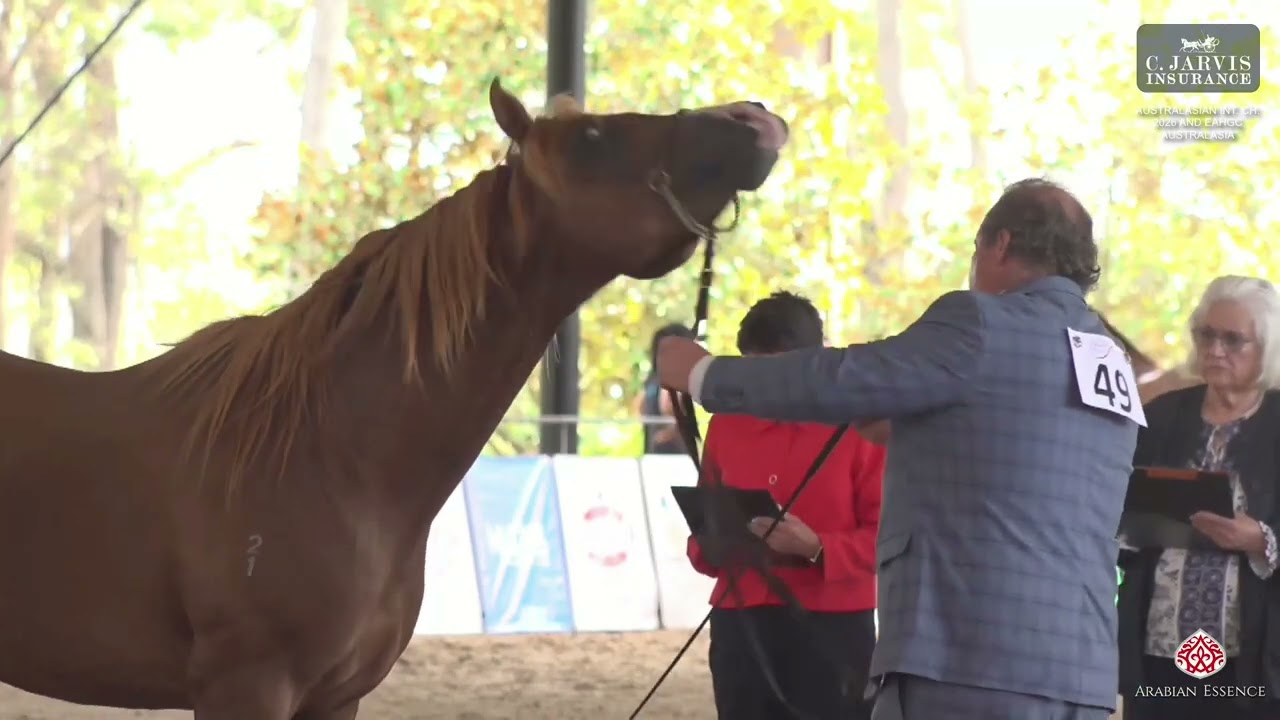 Australasia 2026   Class 9A