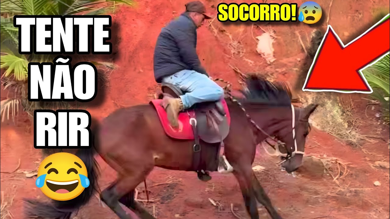 TENTE NÃO RIR: OS MELHORES MEMES DA INTERNET #tentenaorir #videosengracados #humor #comedia #memes 