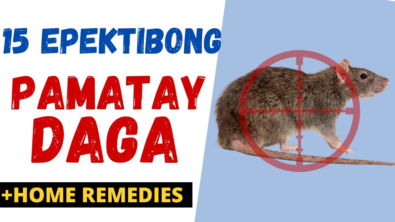 15 Effective PAMATAY DAGA  | Paano MAWALA ang DAGA sa BAHAY | Lason, Panghuli, Pantaboy |Home Remedy