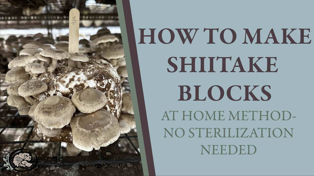 How to Make Shiitake Grow Blocks at Home