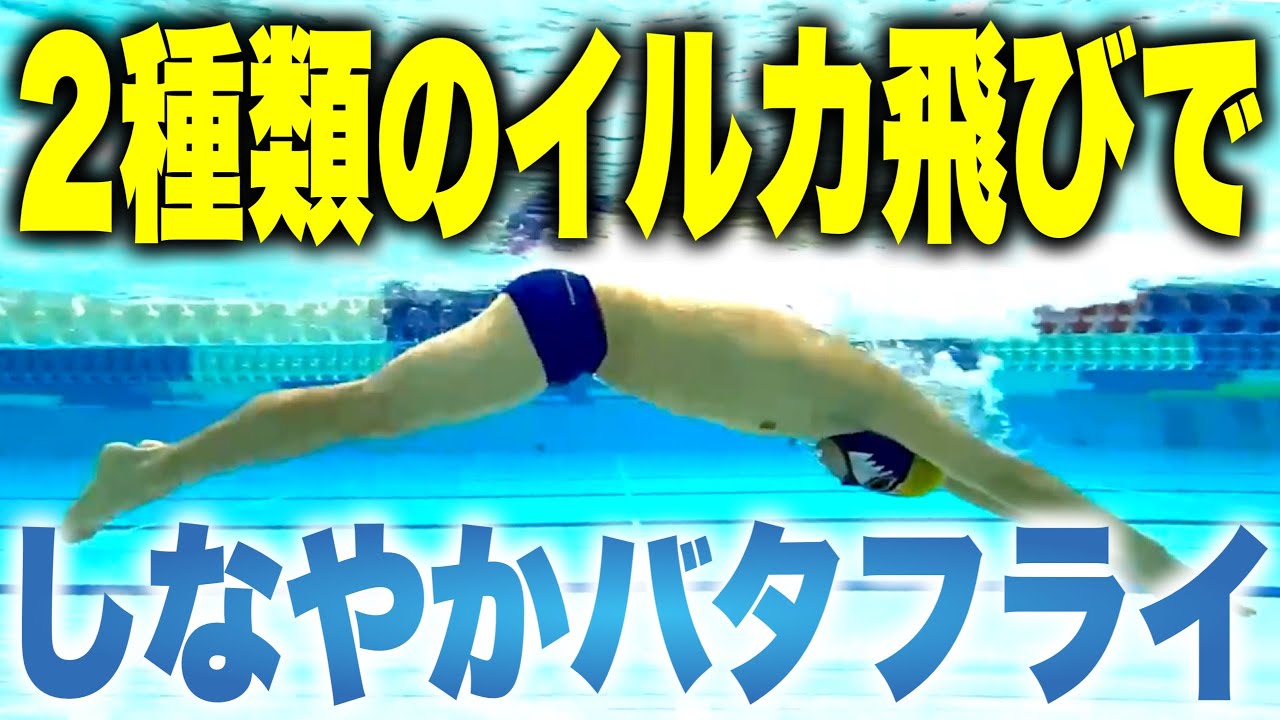 バタフライの基本練習「イルカ飛び」