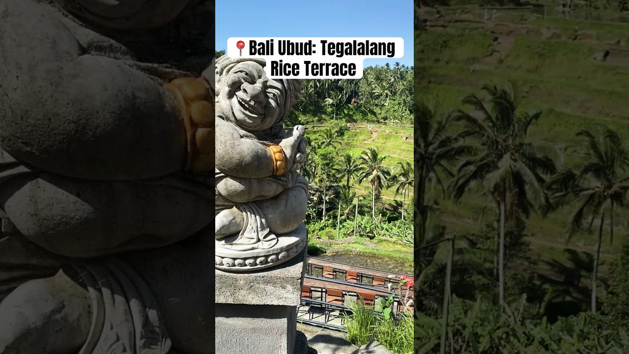 Trip to bali Ubud: Tegalalang Rice Terrace 