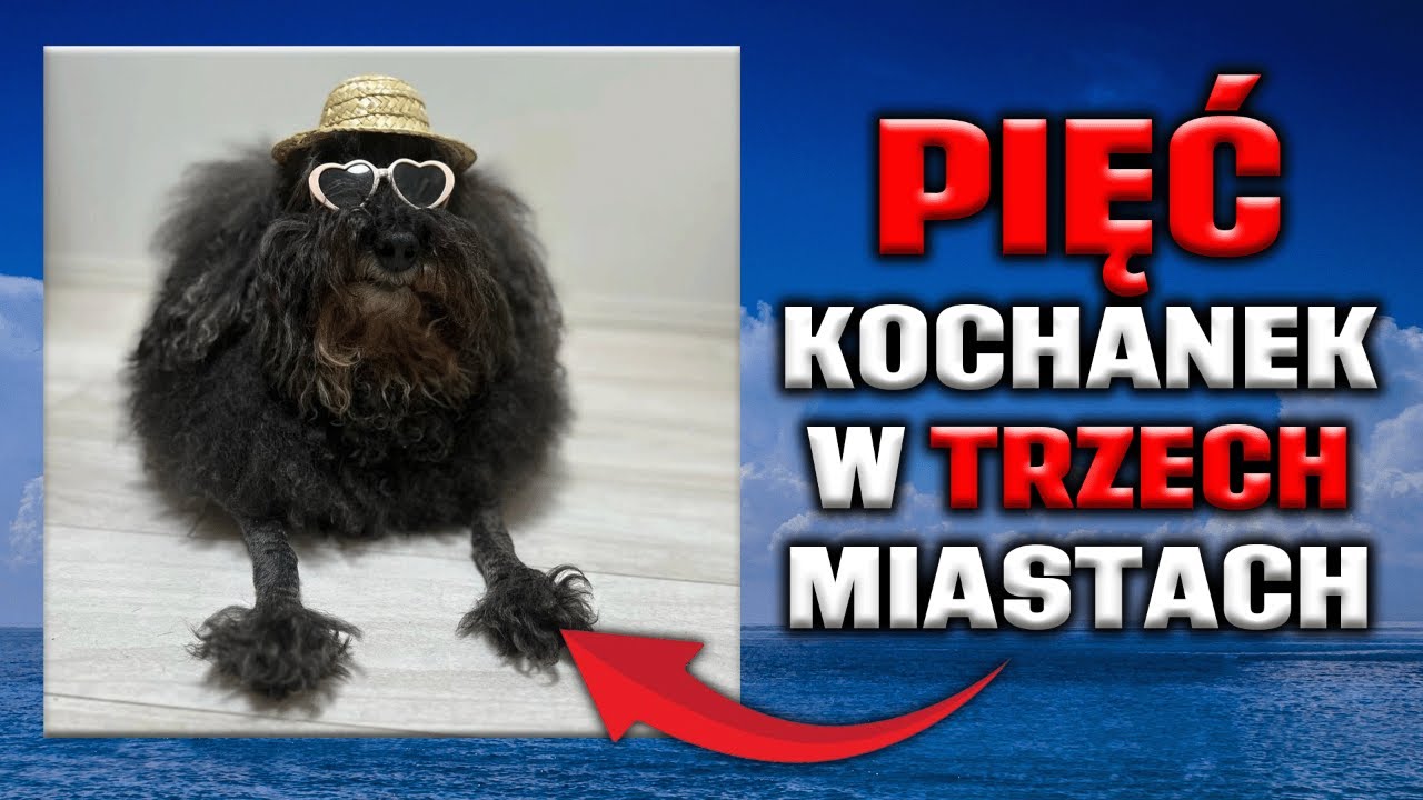 niebywałe - teleturnieje / tierlisty / strefa chillu