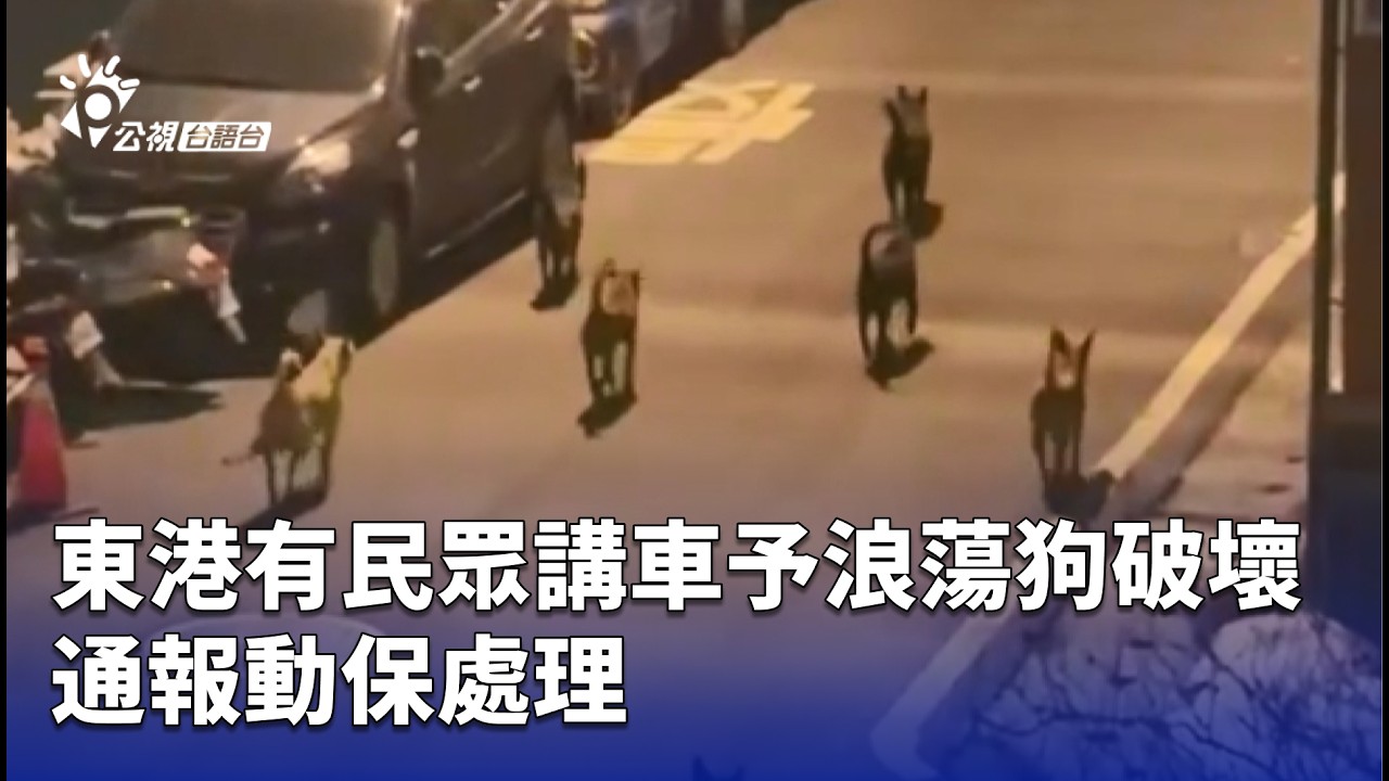 東港有民眾講車予浪蕩狗破壞 通報動保處理 | 公視台語台 | 20260224