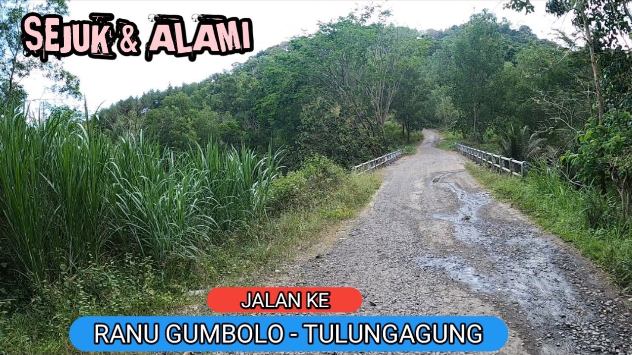 Jalan ke RANU GUMBOLO TULUNGAGUNG dari Cafe Dendy Sky View