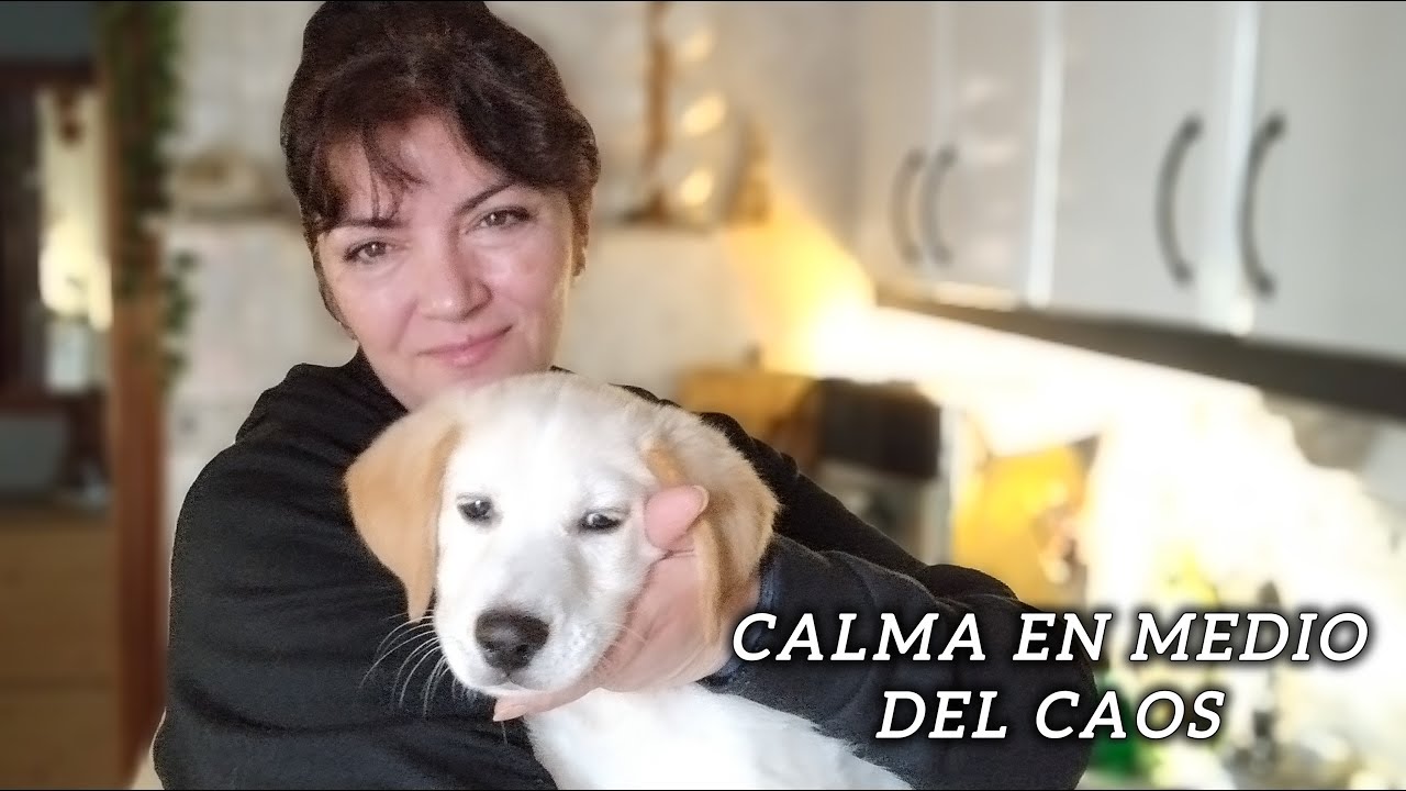 Cuando la CALMA se Desordena 🌿 Cómo encontrar PAZ y adaptarte a los cambios