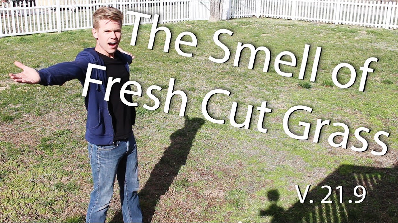 The Smell of Fresh Cut Grass