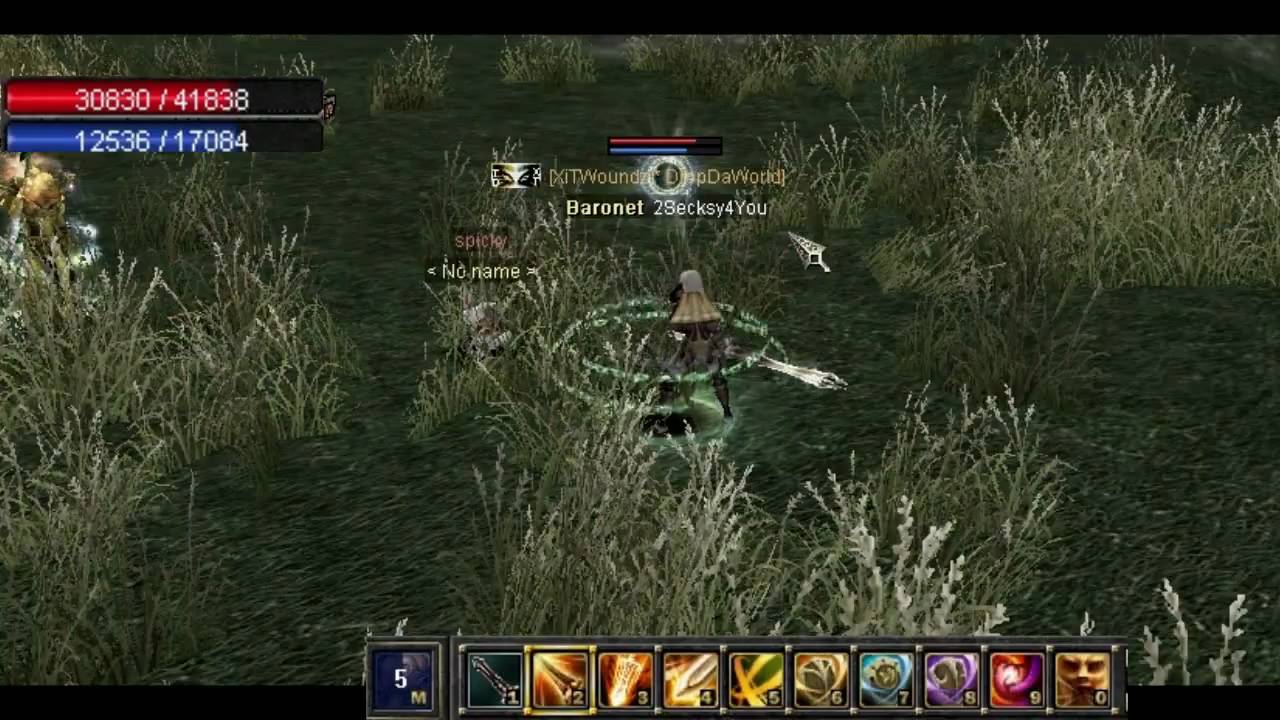 SRO PvP - lvl 100 Warrior, +9 2H Sword