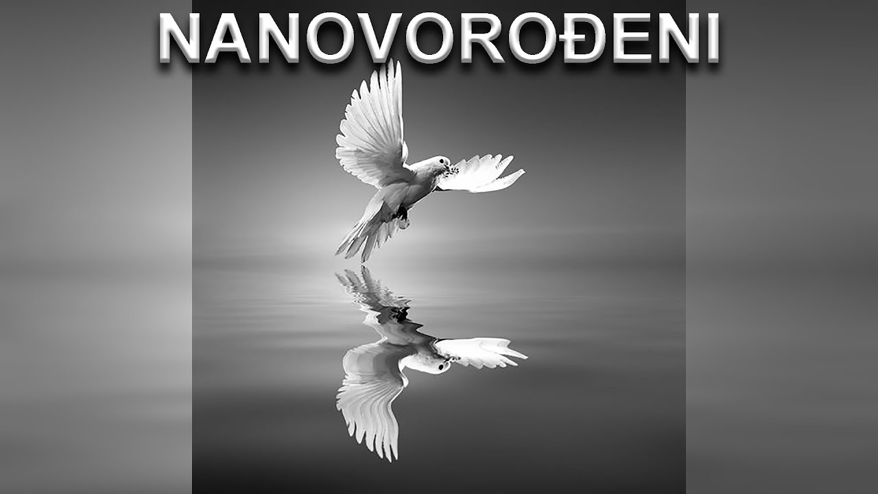 Nanovorođeni (Nebojša Đurić)