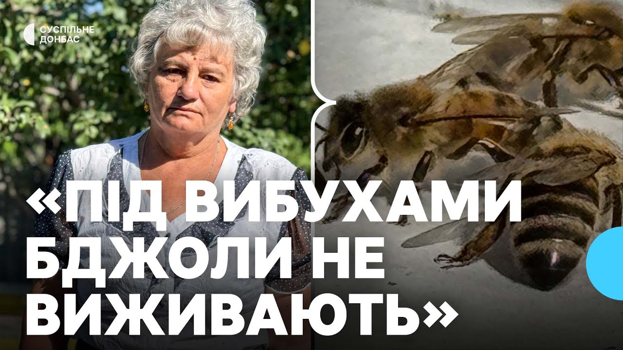 «Під вибухами бджоли не виживають». Прифронтова пасіка у селі на Донеччині: історія бджолярки