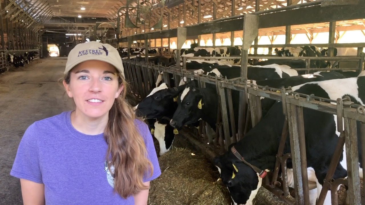 Tour the Barstow's Dairy Farm & Robot Milkers