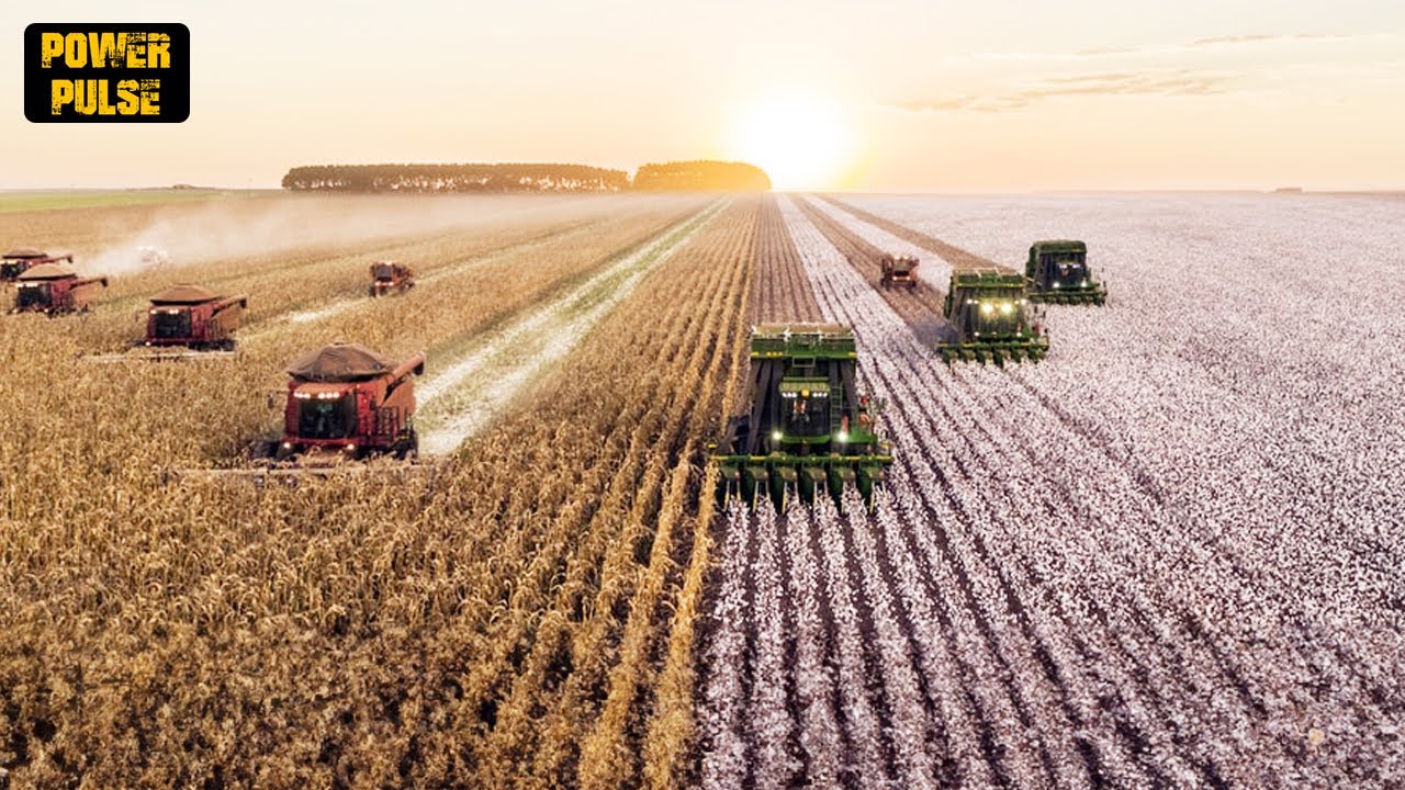 15 Most Amazing And Unique Farms You Won't Believe Exist