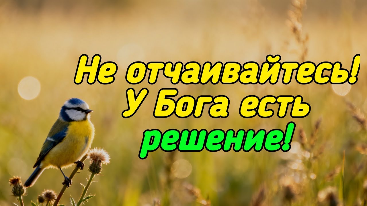 Не сдавайся! У Бога есть решение, когда тебе хуже всего!
